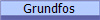 Grundfos