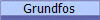 Grundfos